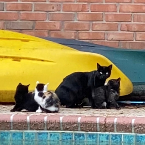 Meet your Posher, Brian - Picture 11 of 14